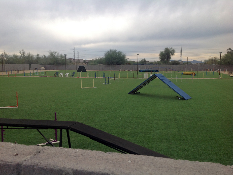 Artificial Grass Ramona, California Backyard Sports, Parks