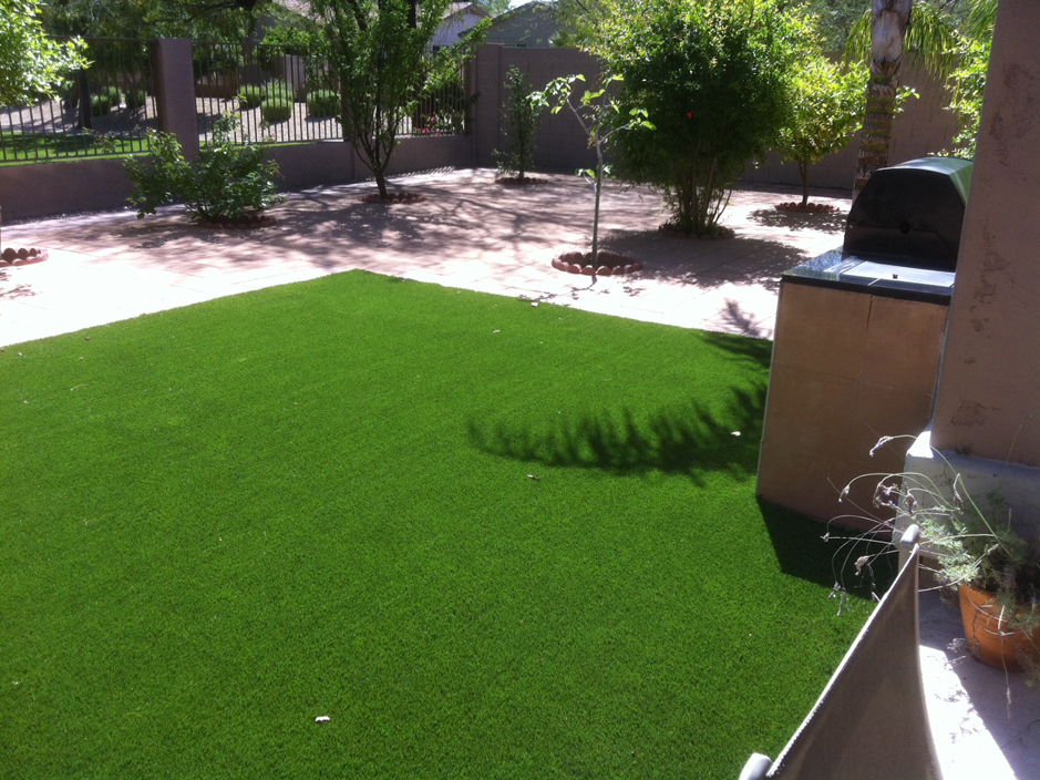 Artificial Lawn Carlsbad California Dog Running Dogs Park