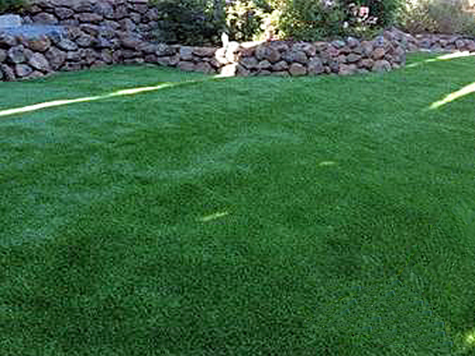Artificial Turf La Mesa California Artificial Grass For Dogs