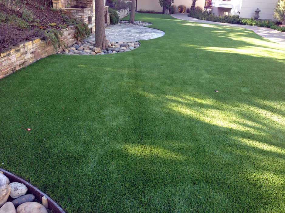 Fake Lawn Winter Gardens California Roof Top Backyard Landscape