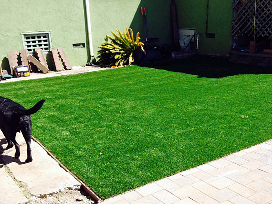 fake turf calexico california backyard deck ideas dogs park
