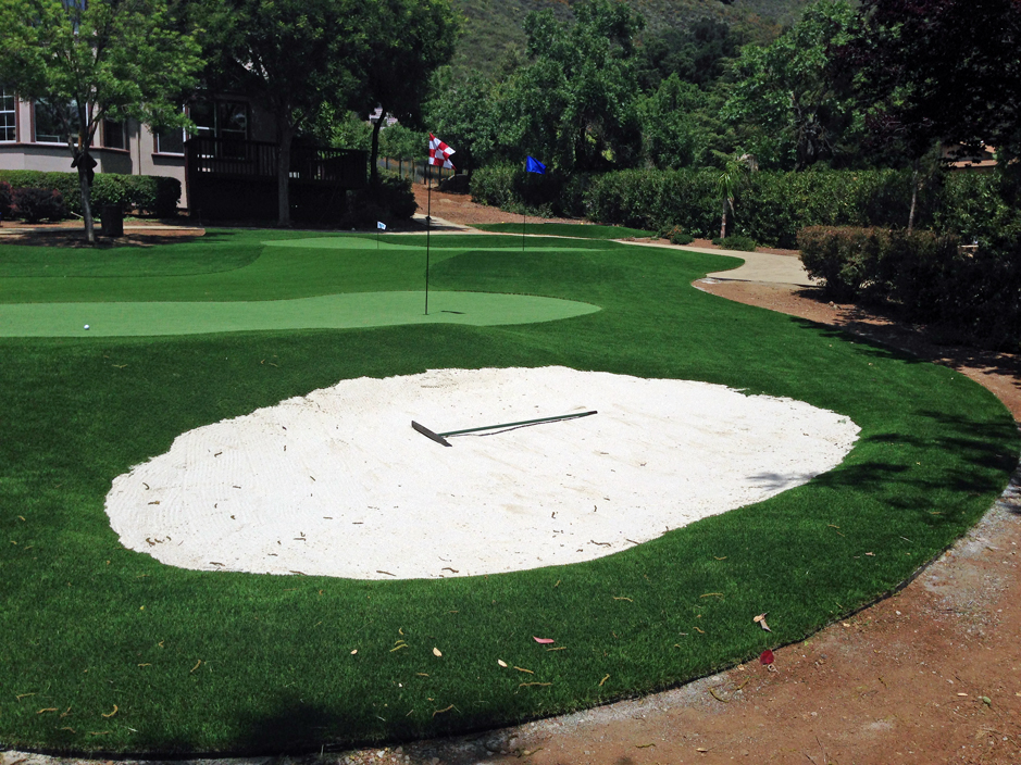 Grass Turf Imperial Beach California Diy Putting Green Front Yard