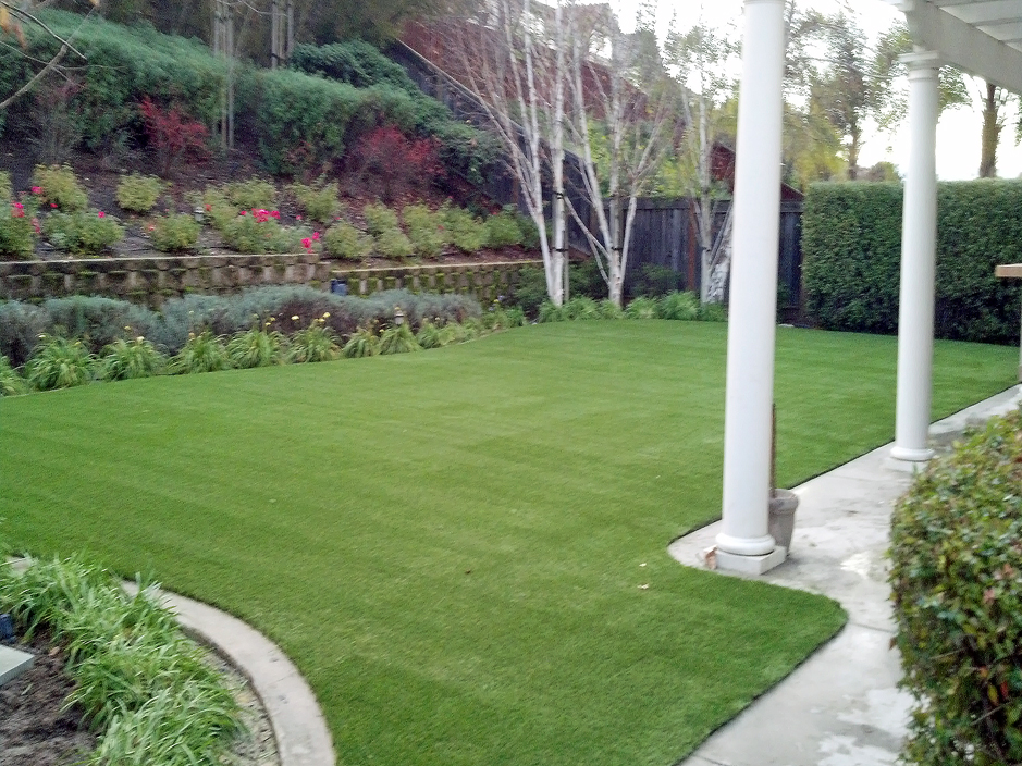 Synthetic Grass Encinitas California Drainage Backyard Ideas