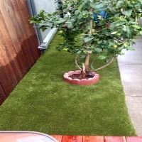 Artificial Grass Bonsall, California Landscape Ideas, Backyard Ideas