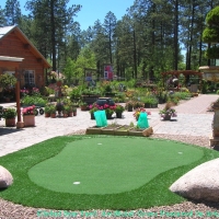 Artificial Grass Carpet Niland, California Backyard Putting Green, Small Backyard Ideas