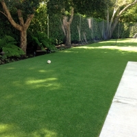 Artificial Grass Carpet Potrero, California Indoor Dog Park