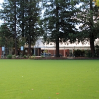 Artificial Grass Carpet Salton City, California Landscape Design, Recreational Areas