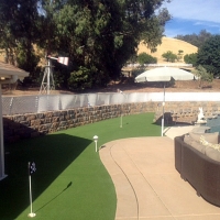 Artificial Grass Niland, California Paver Patio, Backyard Landscaping