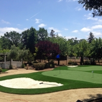 Artificial Lawn Casa de Oro-Mount Helix, California Indoor Putting Greens, Front Yard