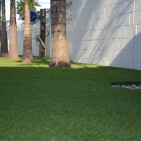 Artificial Turf Cost Salton City, California Paver Patio, Commercial Landscape