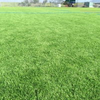 Fake Grass Carpet Jamul, California Home And Garden