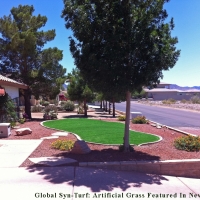 Fake Turf Niland, California Lawns, Front Yard Landscaping