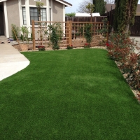 Fake Turf Potrero, California Landscape Design, Front Yard Landscaping Ideas