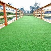 Faux Grass Descanso, California Pet Paradise, Commercial Landscape