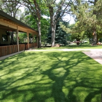 Faux Grass Spring Valley, California Pictures Of Dogs, Backyards