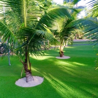 Grass Carpet Borrego Springs, California Landscape Design, Commercial Landscape