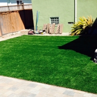 Grass Carpet Harbison Canyon, California Backyard Playground, Small Backyard Ideas