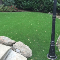 Grass Carpet Poway, California Backyard Playground, Backyard Landscaping