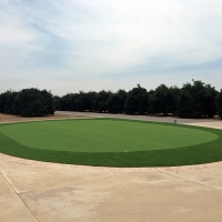 Grass Turf Fallbrook, California Garden Ideas, Front Yard Landscaping Ideas