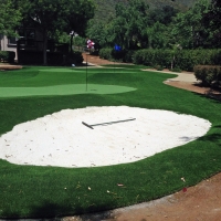 Grass Turf Imperial Beach, California Diy Putting Green, Front Yard