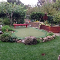 Green Lawn Santee, California Landscaping, Backyard