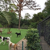 Installing Artificial Grass Niland, California Fake Grass For Dogs, Commercial Landscape