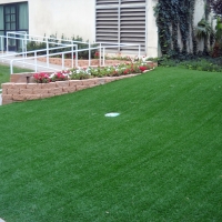 Outdoor Carpet Camp Pendleton South, California Putting Green Carpet, Front Yard Landscape Ideas