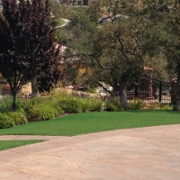 Outdoor Carpet Casa de Oro-Mount Helix, California Landscape Design, Backyard Garden Ideas