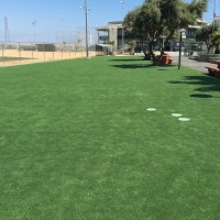 Outdoor Carpet Eucalyptus Hills, California Lawn And Landscape, Recreational Areas