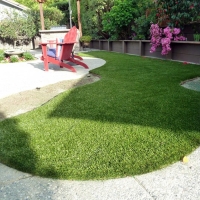 Plastic Grass Encinitas, California Landscaping Business, Backyard