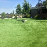 Synthetic Turf Lemon Grove, California Design Ideas, Recreational Areas