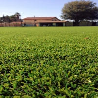 Turf Grass Carlsbad, California Red Turf