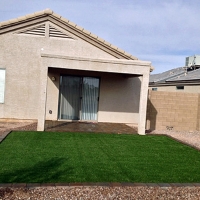 Turf Grass Salton City, California Dog Grass, Backyards