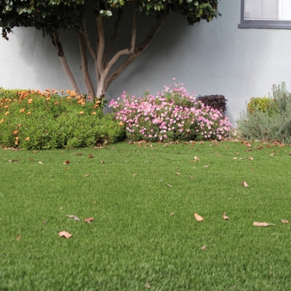 Artificial Grass Carpet Bostonia, California Landscape Photos, Small Front Yard Landscaping