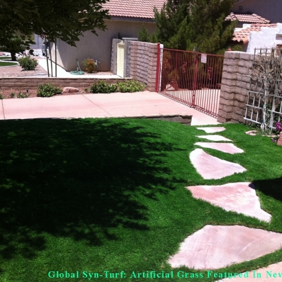 Artificial Grass Carpet El Cajon, California Pictures Of Dogs, Front Yard Landscape Ideas