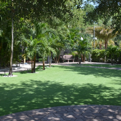 Artificial Grass Fallbrook, California Landscaping, Pavers