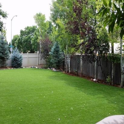 Artificial Grass Installation La Presa, California Dog Run, Backyard Designs