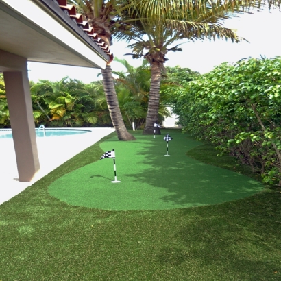 Artificial Lawn Calexico, California Indoor Putting Green, Backyard Design