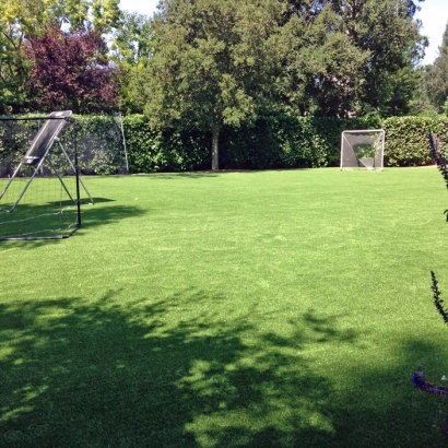 Artificial Lawn Coronado, California Landscaping Business, Beautiful Backyards