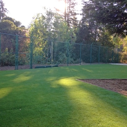 Artificial Lawn Ramona, California City Landscape, Parks