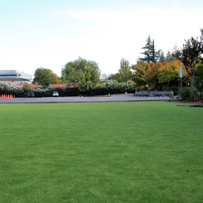 Artificial Turf Cost Bonsall, California Indoor Playground