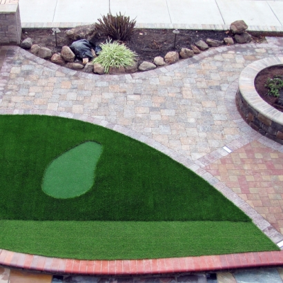 Artificial Turf Cost Borrego Springs, California Lawns, Front Yard