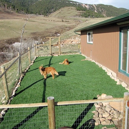 Artificial Turf Cost Rancho San Diego, California Artificial Turf For Dogs, Backyards