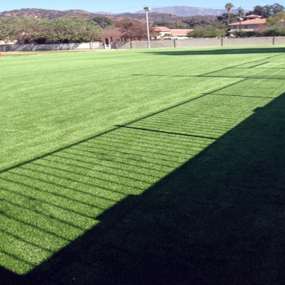 Artificial Turf Del Mar, California Landscaping Business