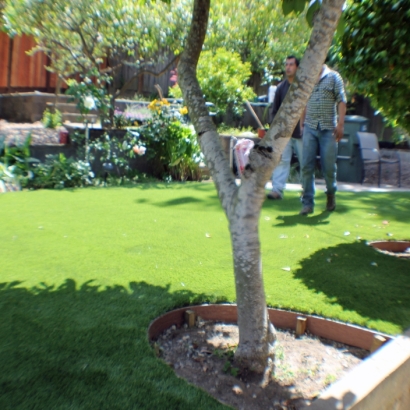 Artificial Turf Del Mar, California Backyard Deck Ideas, Backyard Landscaping Ideas