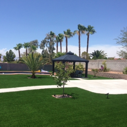 Artificial Turf Granite Hills, California Landscape Photos, Backyard Designs