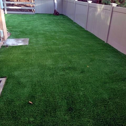 Artificial Turf Installation Jamul, California Dog Park, Backyard Landscape Ideas