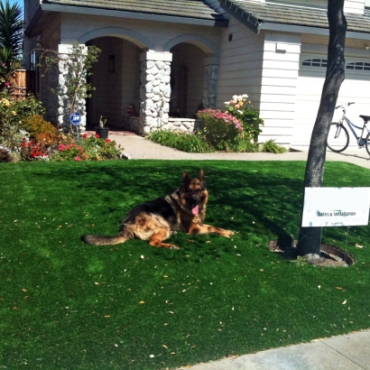 Artificial Turf Installation Valley Center, California Pet Turf, Small Front Yard Landscaping