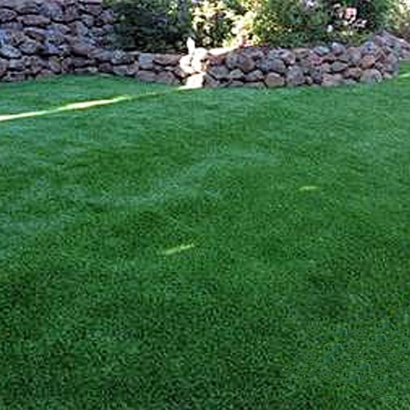 Artificial Turf La Mesa, California Artificial Grass For Dogs, Small Backyard Ideas