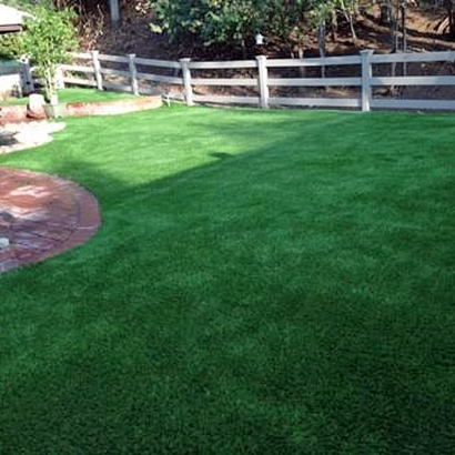 Artificial Turf Rainbow, California Cat Playground, Backyard Design